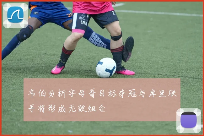 韦伯分析字母哥目标夺冠与库里联手将形成无敌组合